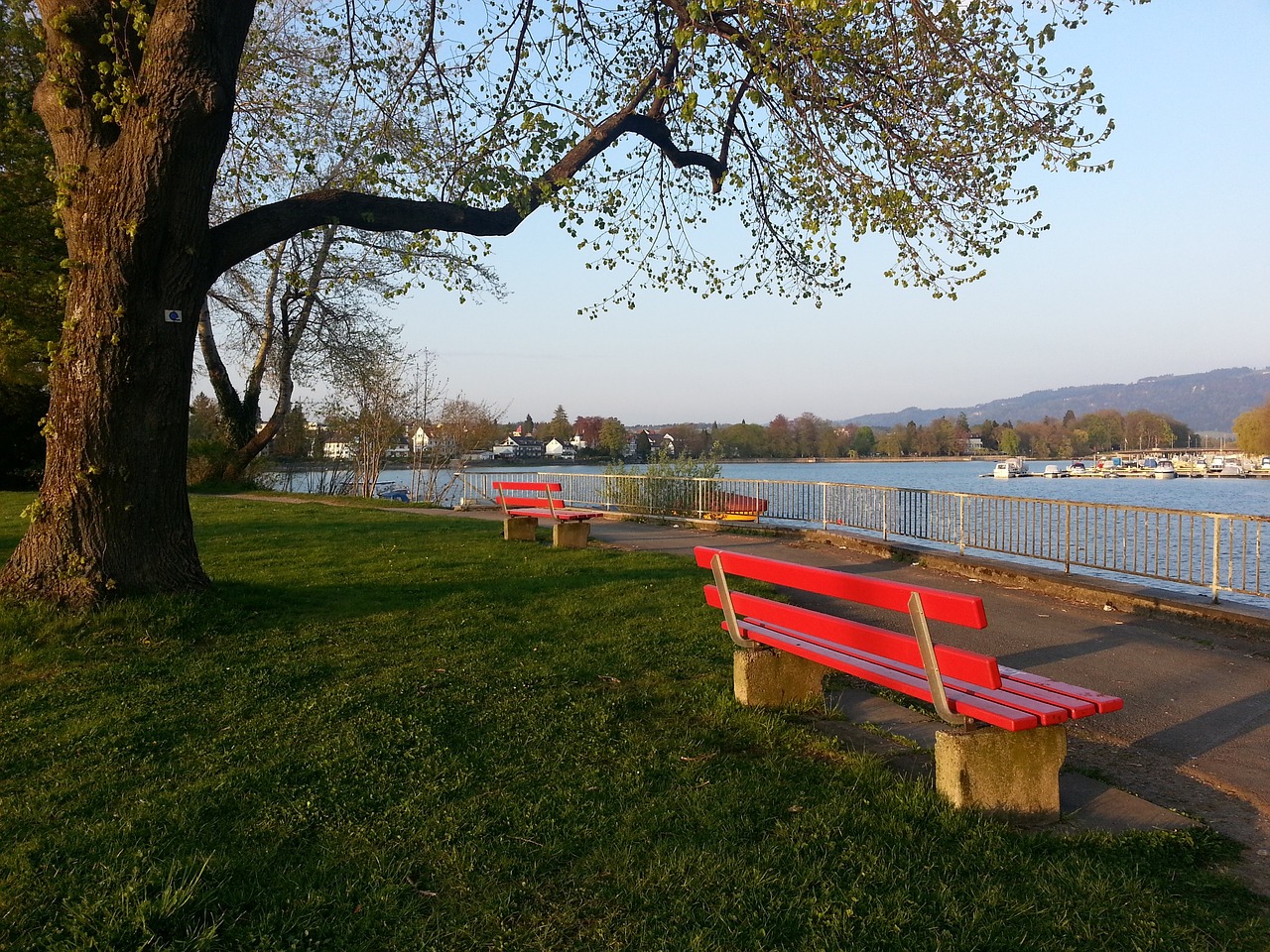 国际排联通报！4场全部0-25 越南女排违规用人 中国女排赛程有变
